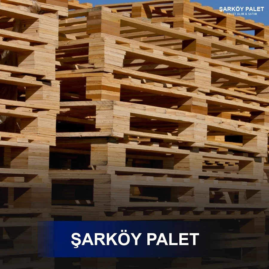 Başakşehir Paletçi