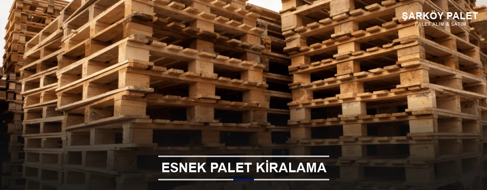 Şarköy Uygun Fiyatlı Palet Kiralama